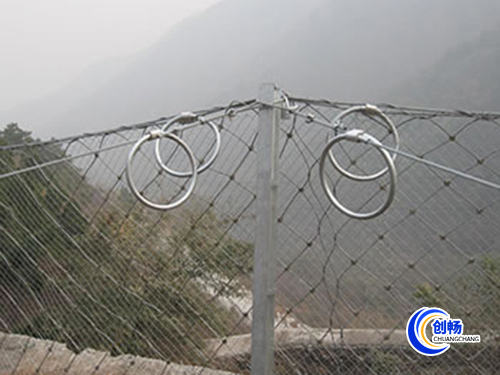 ����߅�·��o�W(w��ng)